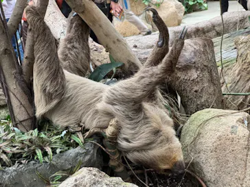 神戸どうぶつ王国に投稿された画像（2023/10/10）