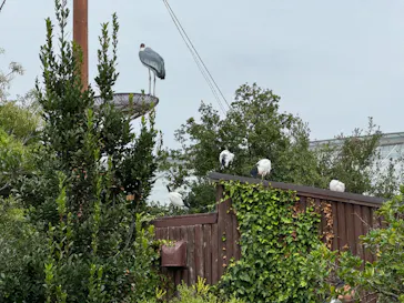 神戸どうぶつ王国に投稿された画像（2023/10/10）