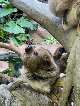 那須どうぶつ王国に投稿された画像（2023/10/10）