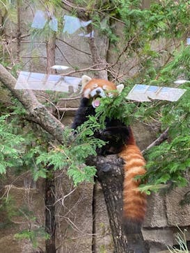 那須どうぶつ王国に投稿された画像（2023/10/10）