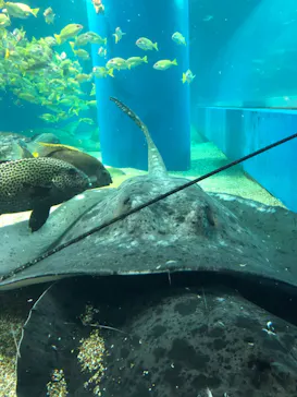 マクセル アクアパーク品川に投稿された画像（2023/10/10）