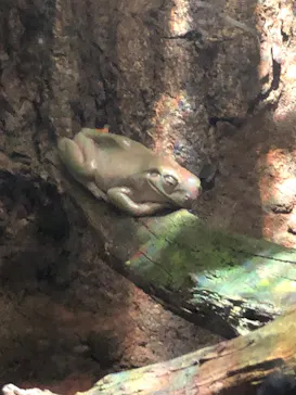 マクセル アクアパーク品川に投稿された画像（2023/10/10）