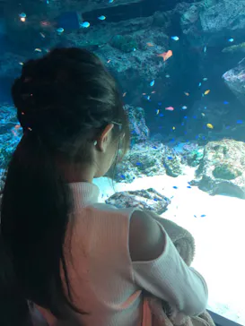 マクセル アクアパーク品川に投稿された画像（2023/10/10）