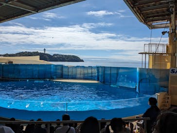 新江ノ島水族館に投稿された画像（2023/10/10）