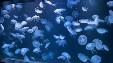 AOAO SAPPOROに投稿された画像（2023/10/10）