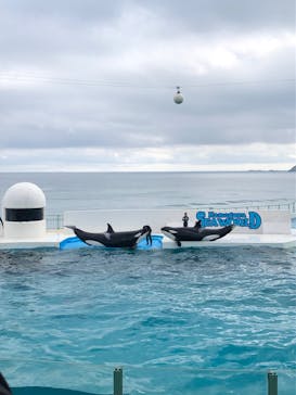 鴨川シーワールドに投稿された画像（2023/10/10）