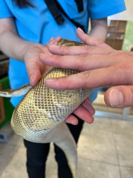 Moff animal world BIGHOPガーデンモール印西店に投稿された画像（2023/10/10）