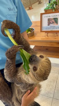 Moff animal world BIGHOPガーデンモール印西店に投稿された画像（2023/10/10）