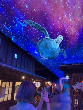 東京湯楽城に投稿された画像（2023/10/10）