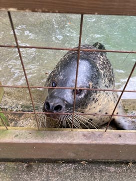 那須どうぶつ王国に投稿された画像（2023/10/10）