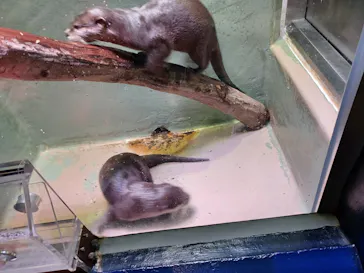 マクセル アクアパーク品川に投稿された画像（2023/10/10）