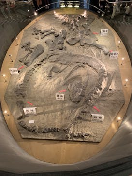 福井県立恐竜博物館に投稿された画像（2023/10/10）
