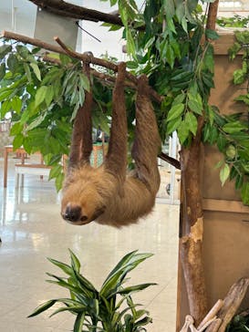 Moff animal world BIGHOPガーデンモール印西店に投稿された画像（2023/10/10）