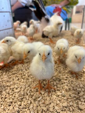 Moff animal world BIGHOPガーデンモール印西店に投稿された画像（2023/10/10）