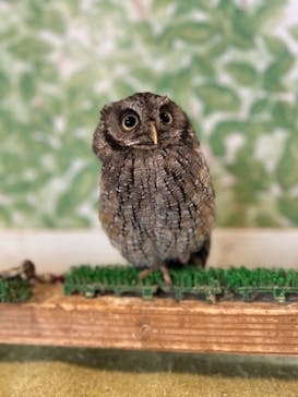 Moff animal world BIGHOPガーデンモール印西店に投稿された画像（2023/10/10）