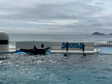 鴨川シーワールドに投稿された画像（2023/10/10）