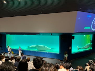 鴨川シーワールドに投稿された画像（2023/10/10）