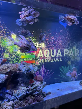 マクセル アクアパーク品川に投稿された画像（2023/10/10）