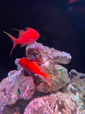 マクセル アクアパーク品川に投稿された画像（2023/10/10）