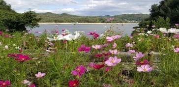 博物館 明治村に投稿された画像（2023/10/11）