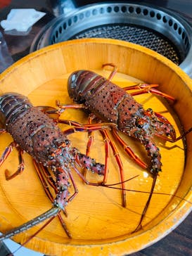 鳥羽　海鮮料理　屋形船　おきたに投稿された画像（2023/10/11）