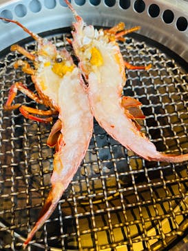 鳥羽　海鮮料理　屋形船　おきたに投稿された画像（2023/10/11）