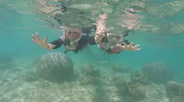 武藤潜水に投稿された画像（2023/10/11）