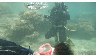 武藤潜水に投稿された画像（2023/10/11）