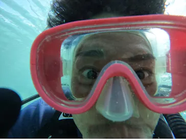 武藤潜水に投稿された画像（2023/10/11）