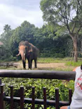 よこはま動物園ズーラシアに投稿された画像（2023/10/11）