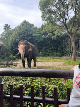 よこはま動物園ズーラシアに投稿された画像（2023/10/11）
