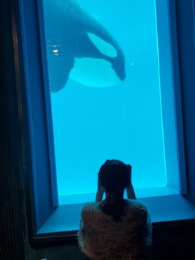 鴨川シーワールドに投稿された画像（2023/10/11）