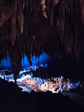 おきなわワールドに投稿された画像（2023/10/11）