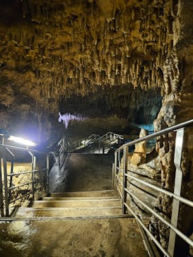 おきなわワールドに投稿された画像（2023/10/11）