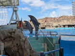 名古屋港水族館に投稿された画像（2023/10/11）