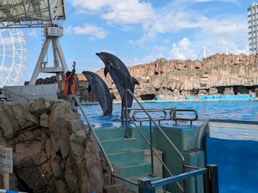 名古屋港水族館に投稿された画像（2023/10/11）