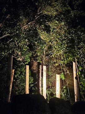 大江戸温泉物語 浦安万華郷に投稿された画像（2023/9/20）