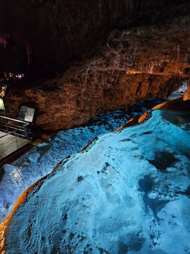 おきなわワールドに投稿された画像（2023/10/11）