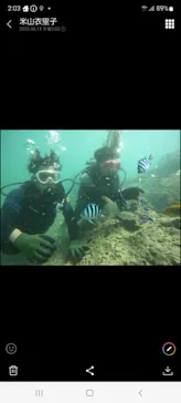 武藤潜水に投稿された画像（2023/10/11）