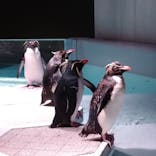 AOAO SAPPOROに投稿された画像（2023/10/11）