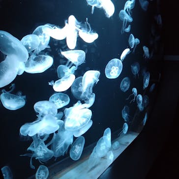 AOAO SAPPOROに投稿された画像（2023/10/11）