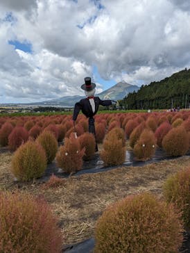 猪苗代ハーブ園に投稿された画像（2023/10/11）