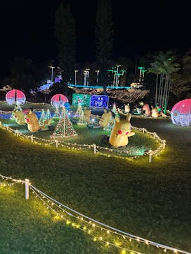 美らヤシパークオキナワ・東南植物楽園に投稿された画像（2023/10/11）