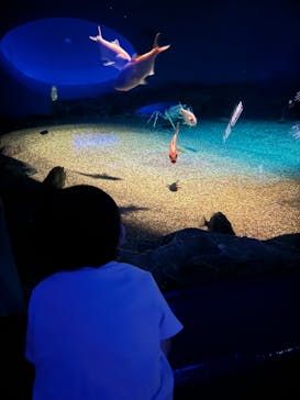 アクアワールド茨城県大洗水族館に投稿された画像（2023/10/11）
