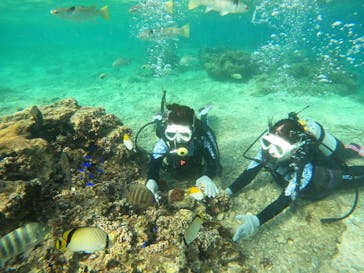 沖縄マリンサービス碧に投稿された画像（2023/10/11）