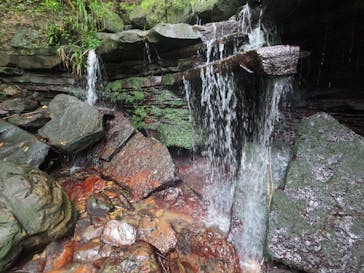 西表島 ADVENTURE PiPi（アドベンチャーピピ）に投稿された画像（2023/10/11）