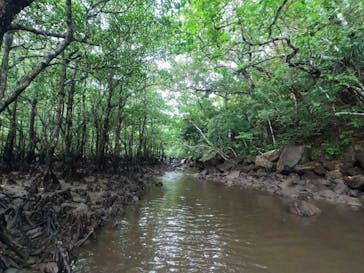 西表島 ADVENTURE PiPi（アドベンチャーピピ）に投稿された画像（2023/10/11）