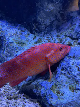 すみだ水族館に投稿された画像（2023/10/11）