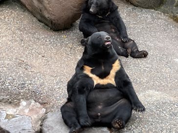 奥飛騨クマ牧場に投稿された画像（2023/10/11）