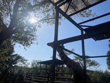 長崎バイオパークに投稿された画像（2023/10/11）